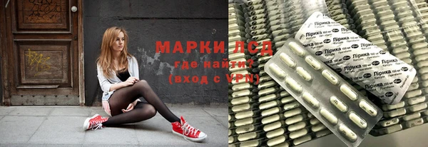 ГАЛЛЮЦИНОГЕННЫЕ ГРИБЫ Аркадак